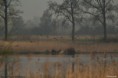 /album/kop-van-overijssel/img-0281-2-jpg/